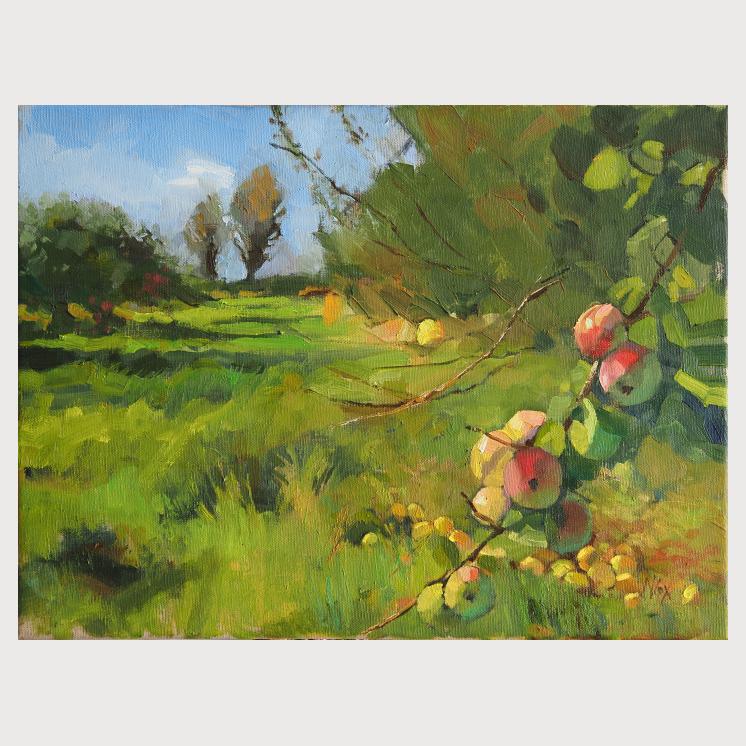 Orchard Sunshine