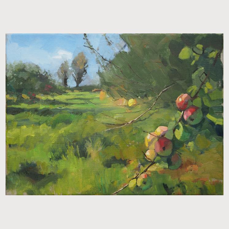 Orchard Sunshine