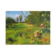 Orchard Sunshine