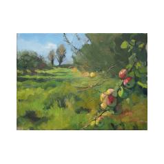 Orchard Sunshine